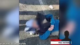 VIDEO O bătrână a fost atacată de un câine periculos în Ocna Șugata. Care este starea actuală a femeii